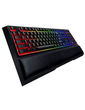 Razer Ornata(1)