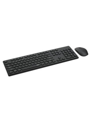 Rapoo X260-1