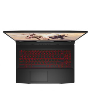 MSI-6