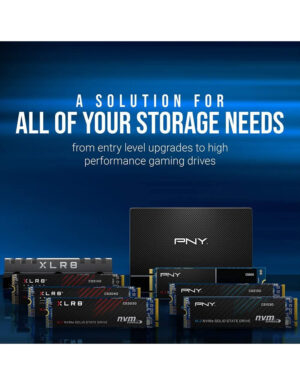 PNY-CS900-500GB3
